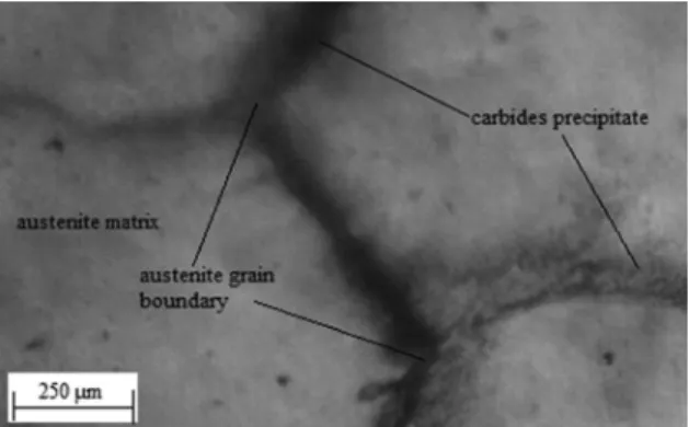 Figure 14. Optical micrograph of heat treated sample in agitated  water bath.  The microstructure shows austenite grain boundaries  in austenite matrix.