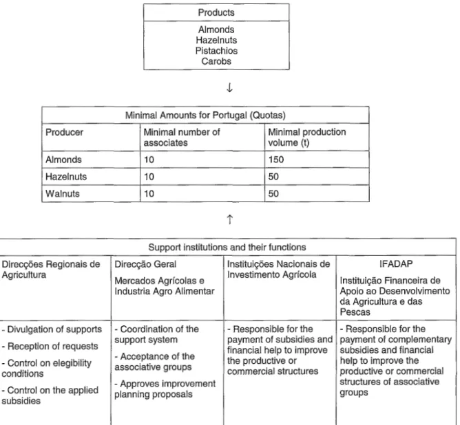 Fig.  3.  Support  system  to  the  nut  sector  in Portugal  (Source:  IMAIAA,  1994)