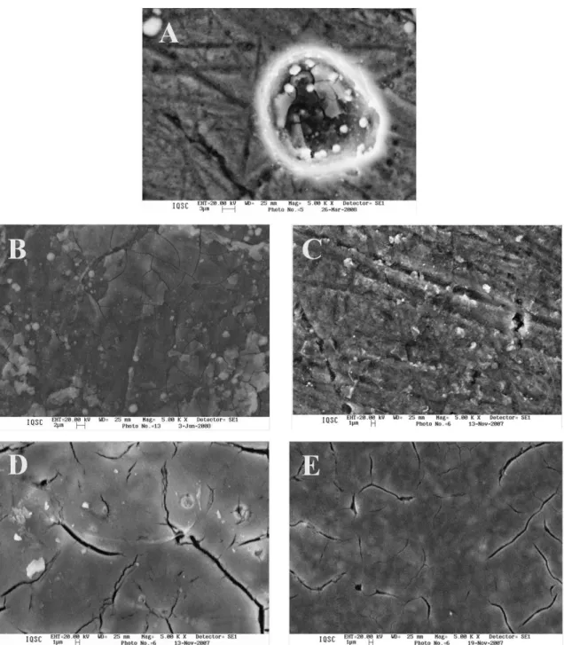 Figure 4. SEM images (5000×) of the AA2024 without deposit (A) and with cerium-based coatings deposited at 100 (B), 200 (C), 300 (D)  and 400 °C (E), taken after the polarization experiments represented in Figure 3.