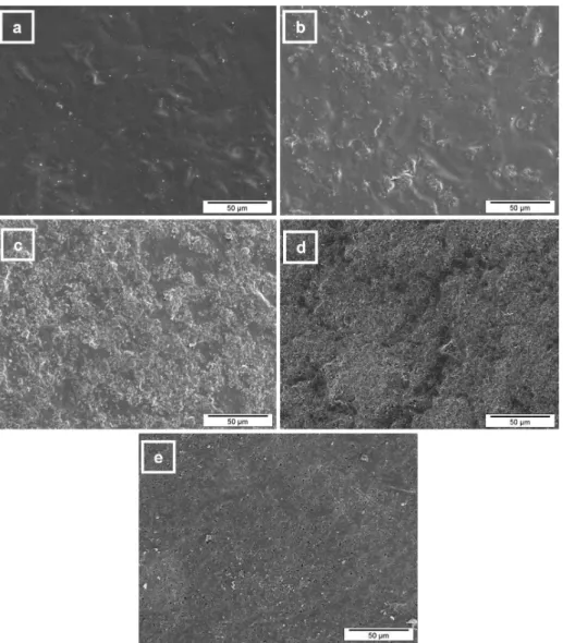Figure 2. Micrographs of coatings from: (a) pure PMMA; (b) 90%PMMA-10%hBN; (c) 70%PMMA-30%hBN; (d) 50%PMMA-50%hBN; 
