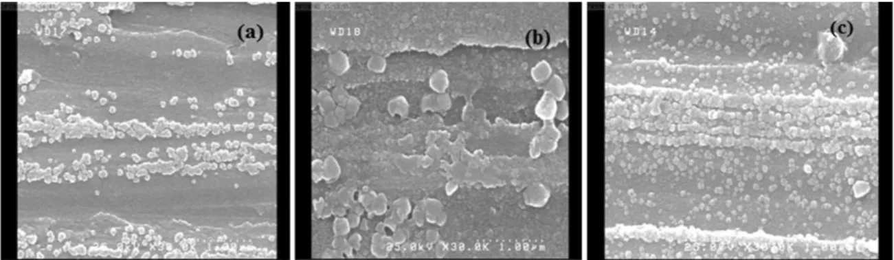 Figure 9. FE-SEM images of corroded surfaces after polarization in 3.5% NaCl at 25 ± 1 °C with pH=11 (a): unrolled, (b): cycle no.2,  (c): cycle no.8.