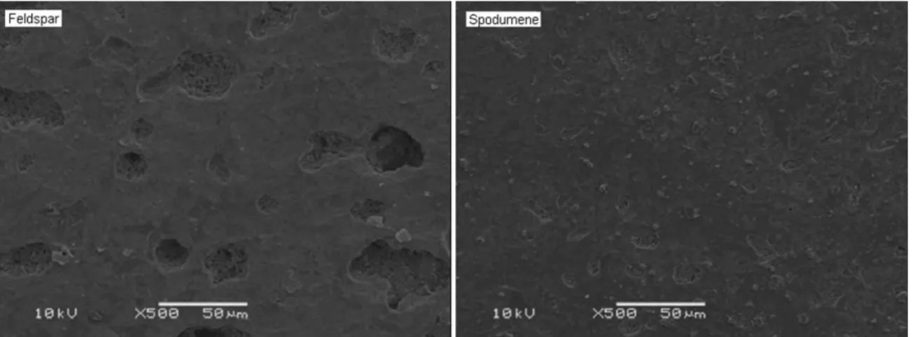Figure 4. Images (SEM): no chemical etching Feldspar, and spodumene bodies ired at 1240 °C.
