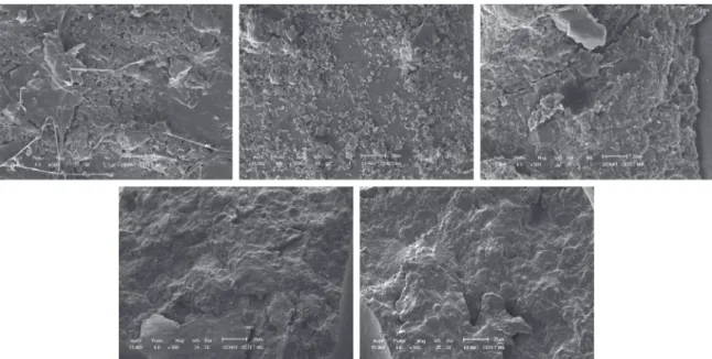 Figure 3. Microscopic images of the enamel surfaces after debonding of the brackets and their remaining adhesive