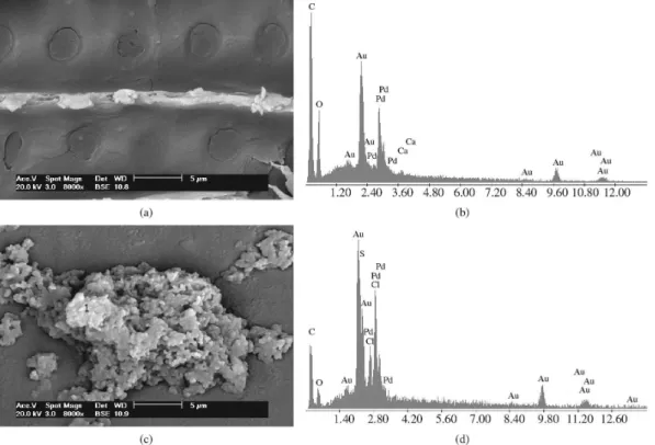 Figure 5g corresponds to the sample from pole (27),  showing rosettes formed by small panels