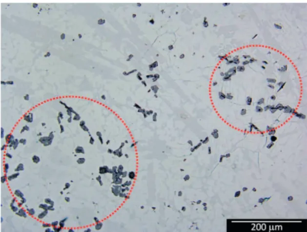 Figure 8. SiC particles in the microstructure of SMN1 after melting  (not etched sample).