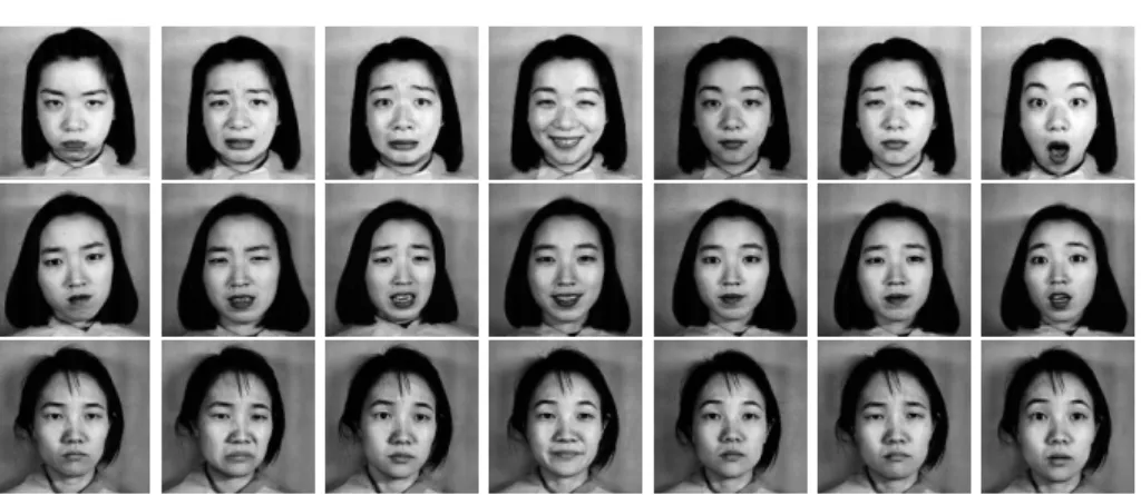 Fig. 5. Examples of images from the JAFFE [10] database.