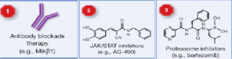 Figure  3b.  Therapeutic  approaches  for  IL-15.  (1)  Using  anti-IL15R  antibody  preventing  binding  and  signaling  of  IL-15  through  its  receptor