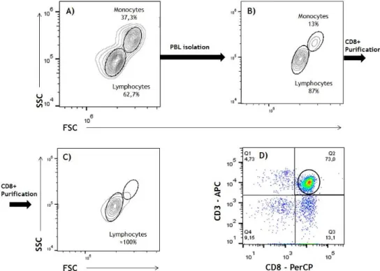 Figure  6.  Schematic  representation  of  the  isolation  of  CD8 +   T  cells  from  a  representative  PBMC  sample
