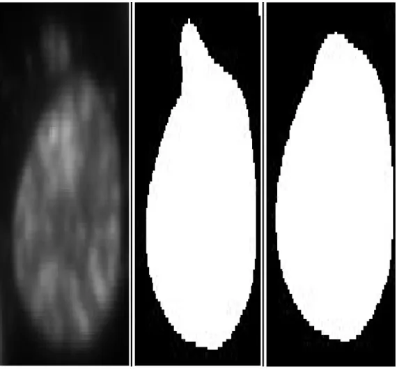 Figure 3.8: Cell scrap elimination using Morphological Closing