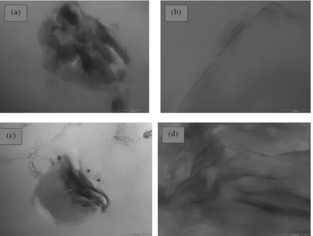 Figure 3. TEM of the cast samples: (a)LYNa; (b) LY30; (c) LYNa,c; (d) LY30,c.