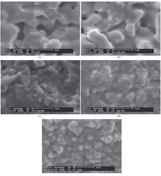 Figure 2. X ray diffraction patterns of sintered HAp, TCP and 50 HAp samples: a) whole 10-60° range; b) detail of 30-35° range.
