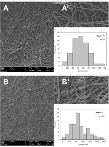Figure 4. SEM images of the surface morphology of the PCL/PLA (A,A’) and GelMA/ChMA (B,B’)  electrospun fibers Magnifications: 1000× (main figures) and 10,000× (inserted figures)