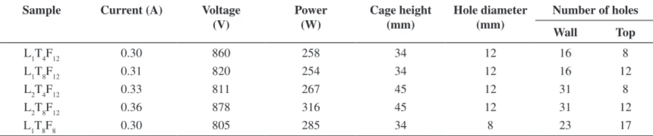 Figure 1. Schematic illustration of plasma reactor in cathodic cage configuration.