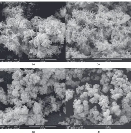 Figure 6. SEM images of the of MCAp powders with similar Mg/Ca molar ratios and different CO 3 2–  content; 3Mg/0C/1P (a), 3Mg/1C/1P (b),  3Mg/3C/1P (c) and 3Mg/5C/1P (d).