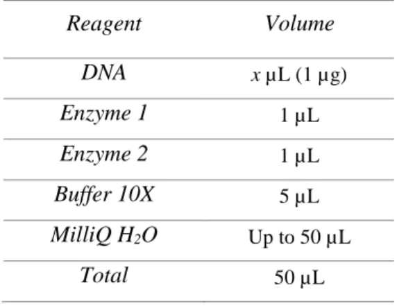 Table 1 – Reaction mix used for the usual restriction digestion of the pDNA. 