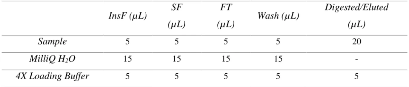 Table 7 – Sample preparation prior SDS-Page electrophoresis. 