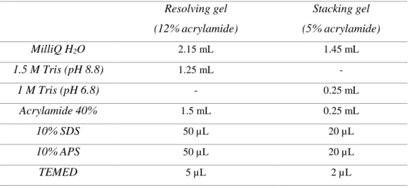 Table 8 – Composition of each layer of a 12% acrylamide SDS-Page gel. 