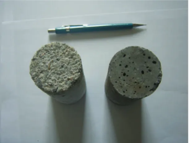 Figure 1. Specimens without protective coating, before and after  H 2 SO 4  attack.