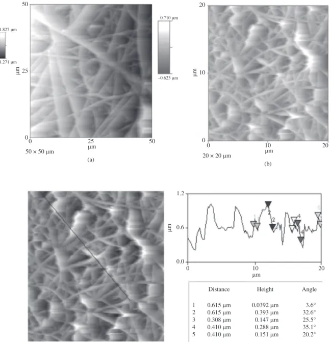 Figure 4c shows the cursor plot obtained for the line A – B,  in which the fibers from 0.0392 µm to 0.147 µm in height are  measured in a single scan