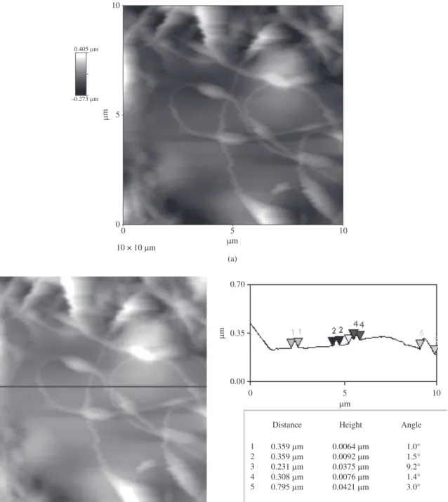 Figure 5. AFM images of electrospun PVA/SiO 2 –  non woven mat.