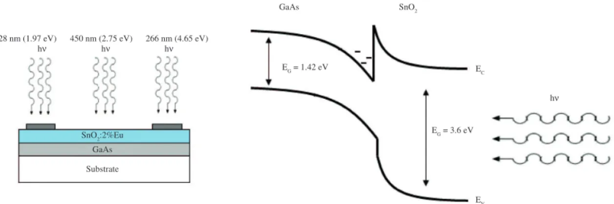 Figure 6. Schematic diagram of the sample structure, and the effects of monochromatic light irradiation on energy band diagram of  GaAs/SnO 2 :2%Eu sample.