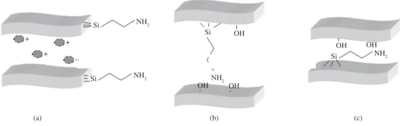 Figure 4. Proposed interaction of the amino centers attached to pendant organic chains with available acidic silanol groups of the lamella  for the solid V1-N.