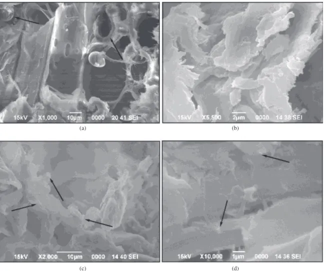 Figure 3. Scanning electron micrographs of a) untreated wood and wood samples treated with (b) S/G5, (c) S/G5/N1 and (d) S/G5/N1/V2Figure 2