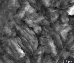 Figure 8. Microstructure after HPT processing at 373 K for N = 1  turn.