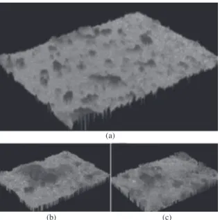 Table 3. Roughness of biomineralized nHAp/VAMWCNT-O 2  nanocomposites.
