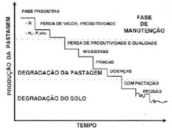 Figura 1 - Representação gráfica simplificada do processo de degradação de pastagens  (Macedo, 1999)