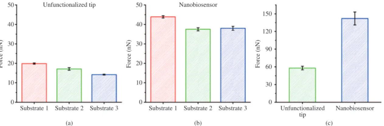 Figure 1. Scheme illustrating an atomic force microscope in contact-mode operation and details regarding the chemical interactions  between the tip and the substrate