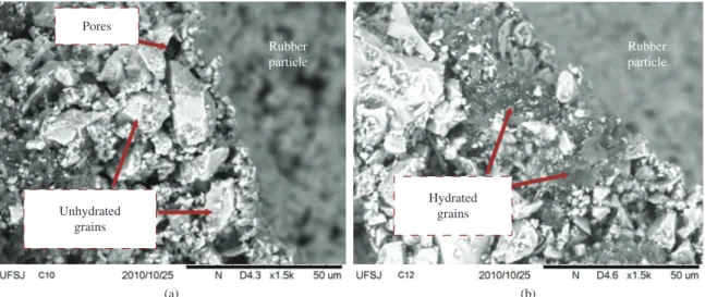 Figure 14 illustrates the surface of fracture of composite  C6, fabricated with rubber particle size range 0.84/0.58 mm,  in backscatter mode SEM with 1500× of magnification
