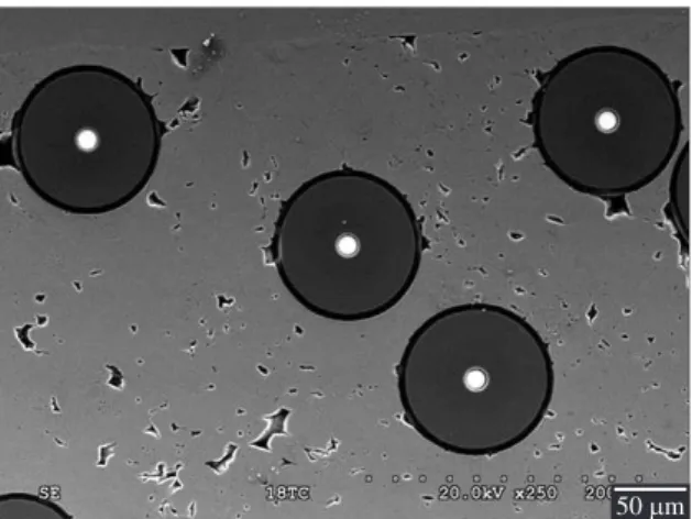 Figure 5. Microstructure of composites processed up to 100 MPa  for 30 minutes at 800 °C.