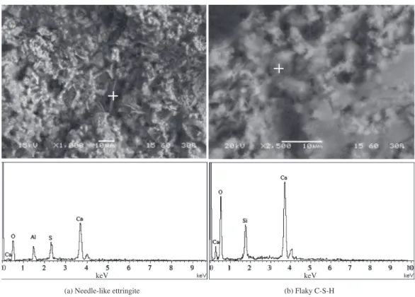 Figure 13. SEM micrographs of UF-II cement pastes at a) 1day and b) 28 days of curing.