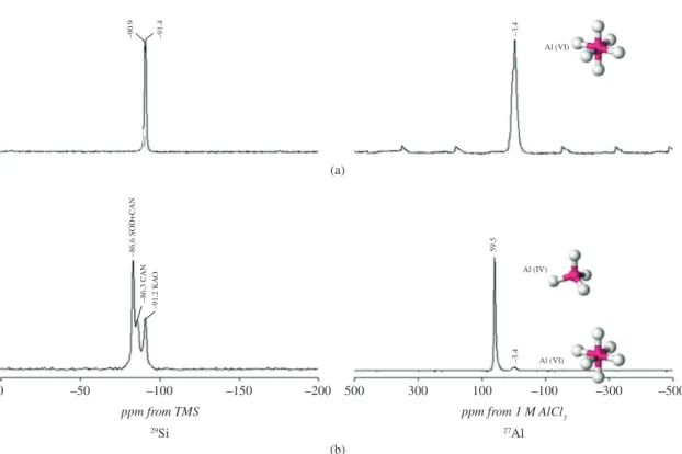 Figure 10 shows the  29 Si and  27 Al MAS-NMR spectra  of the starting kaolinite and representative as-synthesized  zeotypes