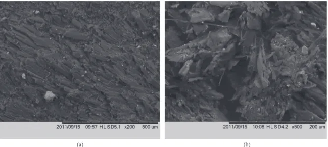Figure 11. SEM micrographs of sugarcane bagasse and castor oil resin particleboard (T2): a) 200× magnification, and b) 500× magnification.