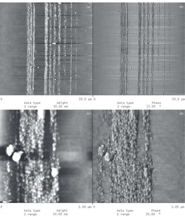 Figure 5. SEM image of the CdCO 3  film grown by CBD at 50 °C  and pH = 8.3.