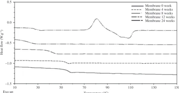 Figure 1. DSC curves for PLDLA membranes submitted to different hydrolytic degradation periods, 0, 4, 8, 12, 24 weeks, second heating.