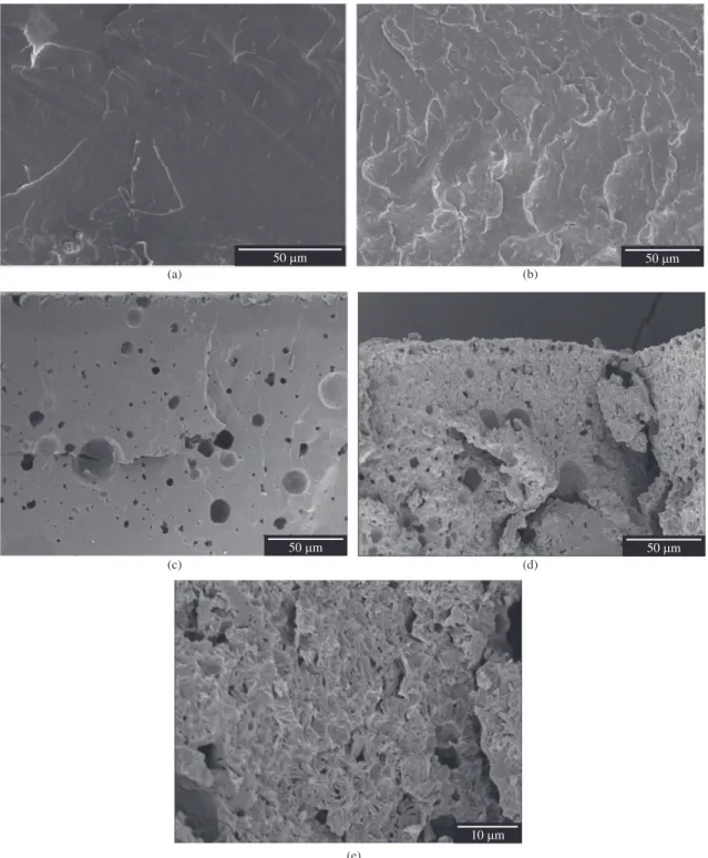 Figure 3.  Electron Micrographs of  fracture surfaces of PLDLA membranes  submitted to different degradation periods a) t = 0 weeks; 