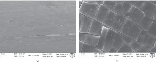 Figure 8c presents the effects of pH and the C F  in the  polarization curves of Ni-Ti wires in Solutions 3 to 6 of  Table 3
