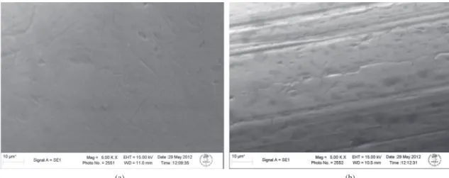 Figure 1. Surface morphologies of the (a) SS and (b) Ni-Ti wires as-received.
