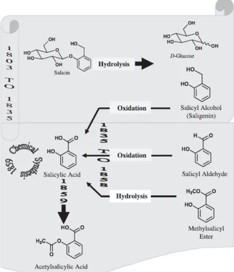 Figura 4 – Ilustração da síntese do ácido salicílico.  