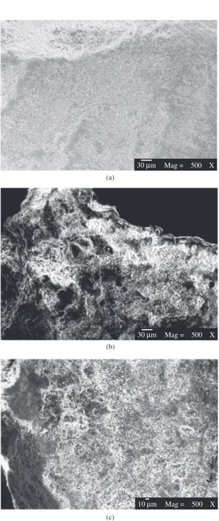 Figure 3 shows the thermogravimetric derivative  curve samples of natural, calcined and sodium saturated  Bofe clays