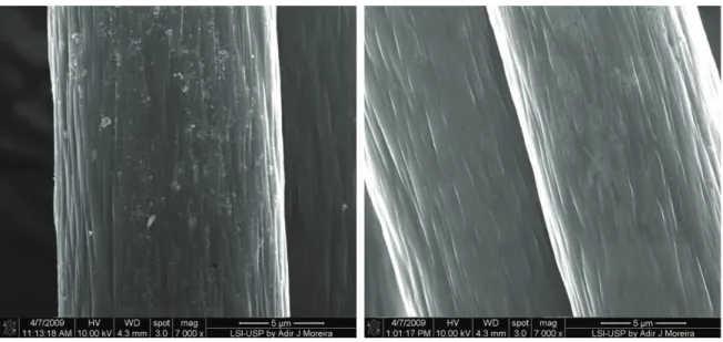 Figure 7. SEM micrographs of fibers heat treated at 600 °C using two different heating rates.