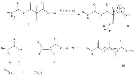 Figure 2. Radiolysis mechanism of Poly (hydroxyalcanoates). R = -CH 3 , CH 2 CH 3 .