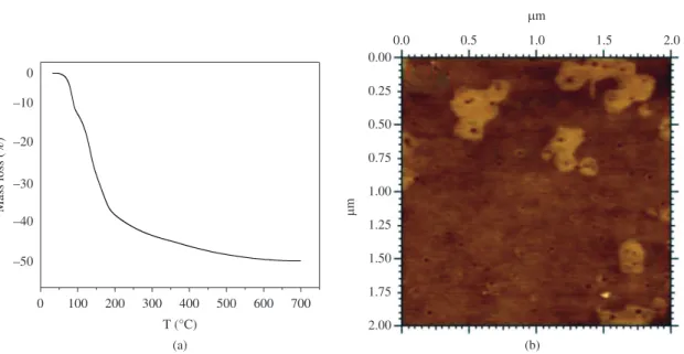 Figure 3. N 2  ad/desorption isotherms and pore size distribution of  struvite sample obtained at pH 9.5.