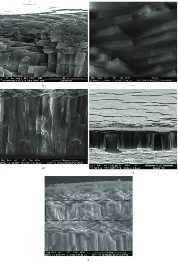 Figure 5. Scanning electron micrographs. (a) – Sheet nacreous layer composed of aragonite