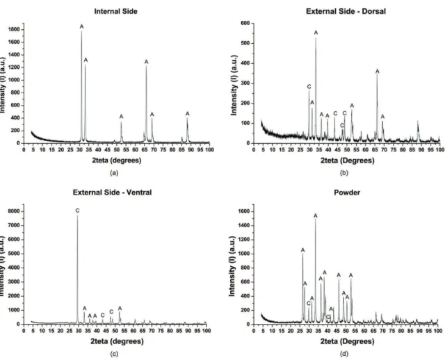 Figure 7. Diffraction patterns obtained from the internal regions (a), external dorsal (b), external ventral (c) and of the shell powder  (d) of the golden mussel