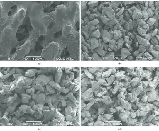 Figure 8. Micrographs with 50x of magnification. a) pure polymer; b) polymer with 10%wt of BG; c) polymer with 20%wt of BG; d)  polymer with 30%wt of BG.