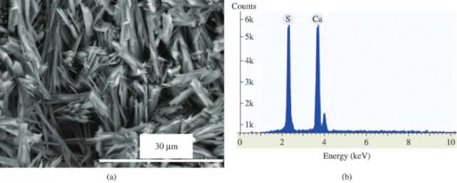 Figure 1a shows the morphology of a fracture in a  dihydrate gypsum block. Its microstructure consists of  crystals in prismatic needle shape
